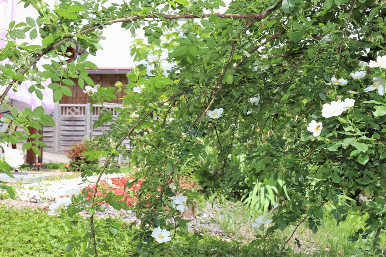 Gaestehaus Willaringen Rickenbach  المظهر الخارجي الصورة