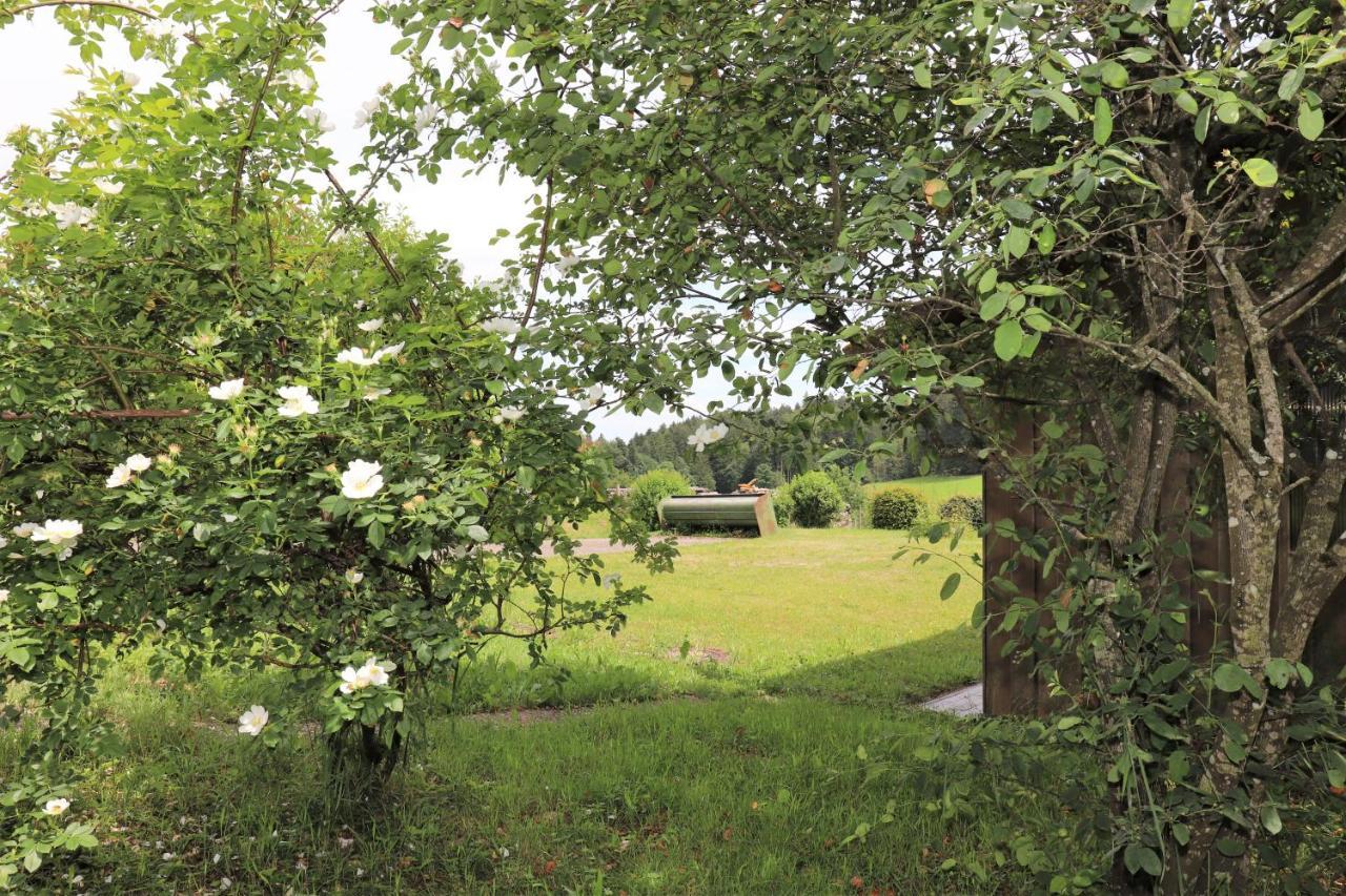 Gaestehaus Willaringen Rickenbach  المظهر الخارجي الصورة